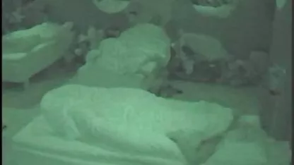 Sialan La La Land bokep indo xnxxx